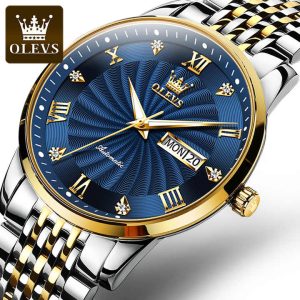 OLEVS 6630 Automatic Full Gold Mechanical Watch for Men Silver Gold Blue.