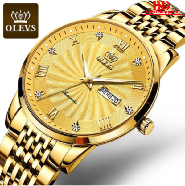 OLEVS 6630 Automatic Full Gold Mechanical Watch for Men.,
